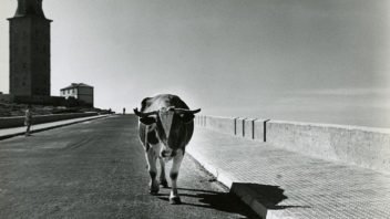 Vrij belangrijke foto’s