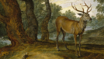 Why can you kill a snake but not a red deer?